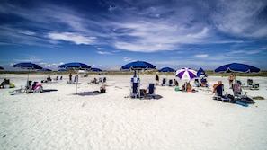 Une plage avec de nombreux parasols et des chaises longues.