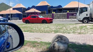 Ein roter Sportwagen steht auf einer Rasenfläche, im Hintergrund ist ein Gebäude zu sehen.