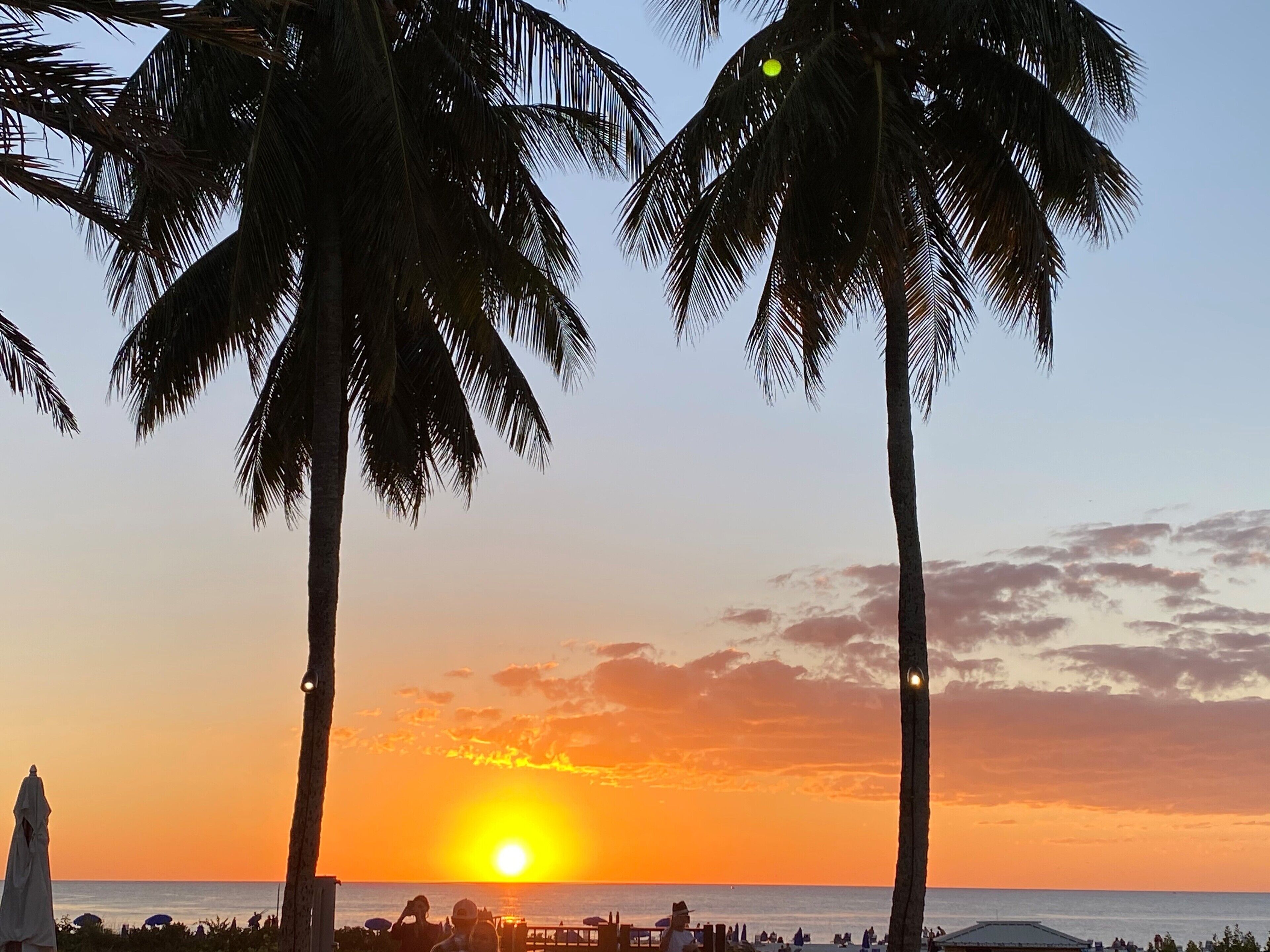 Een strandgezicht met palmbomen, een zonsondergang en de oceaan.