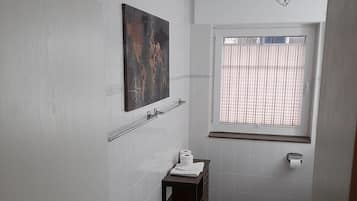 Ducha, secador de pelo y toallas