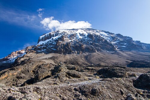 Twende Africa Tours - Kilimanjaro Climbing & Wildlife Safaris in Tanzania