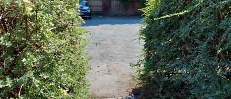 Apartment, 1 Queen Bed | Property grounds