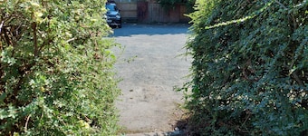 Beautiful 1bed Apartment With a Back Garden
