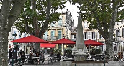 Beautiful apartment in country house. Saint Remy de Provence.