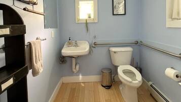 A small bathroom with a sink, toilet, and handrail.