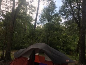 Property grounds - Primitive tent camping in Robert LA CD (Robert)