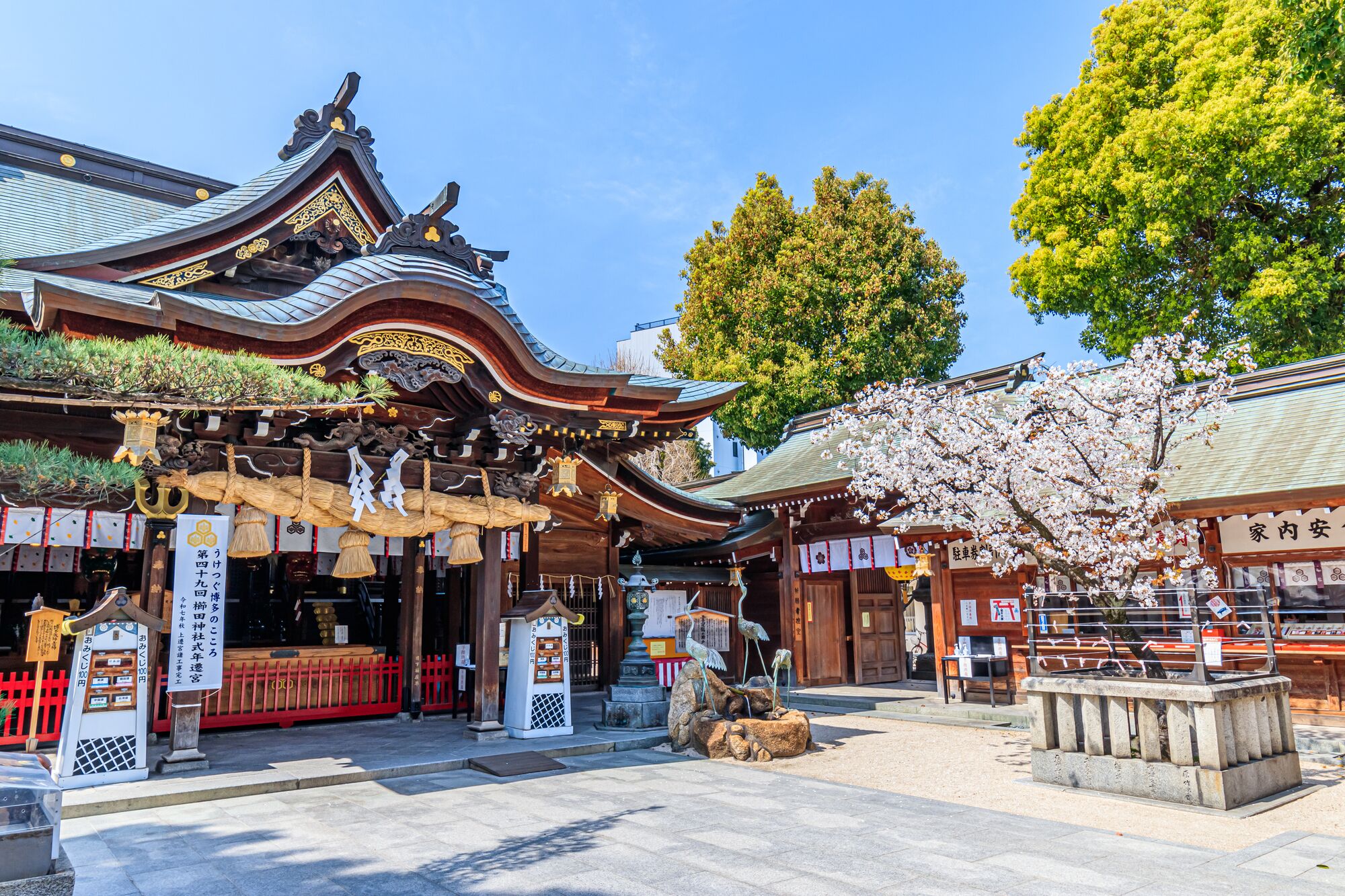 A traditional Japanese temple with a curved roof, wooden structures, and a cherry blossom tree in the foreground.