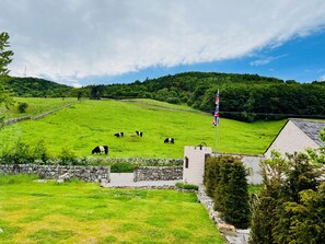 Property grounds - Hire your own Medieval Castle- perfect for events (Castle Douglas)