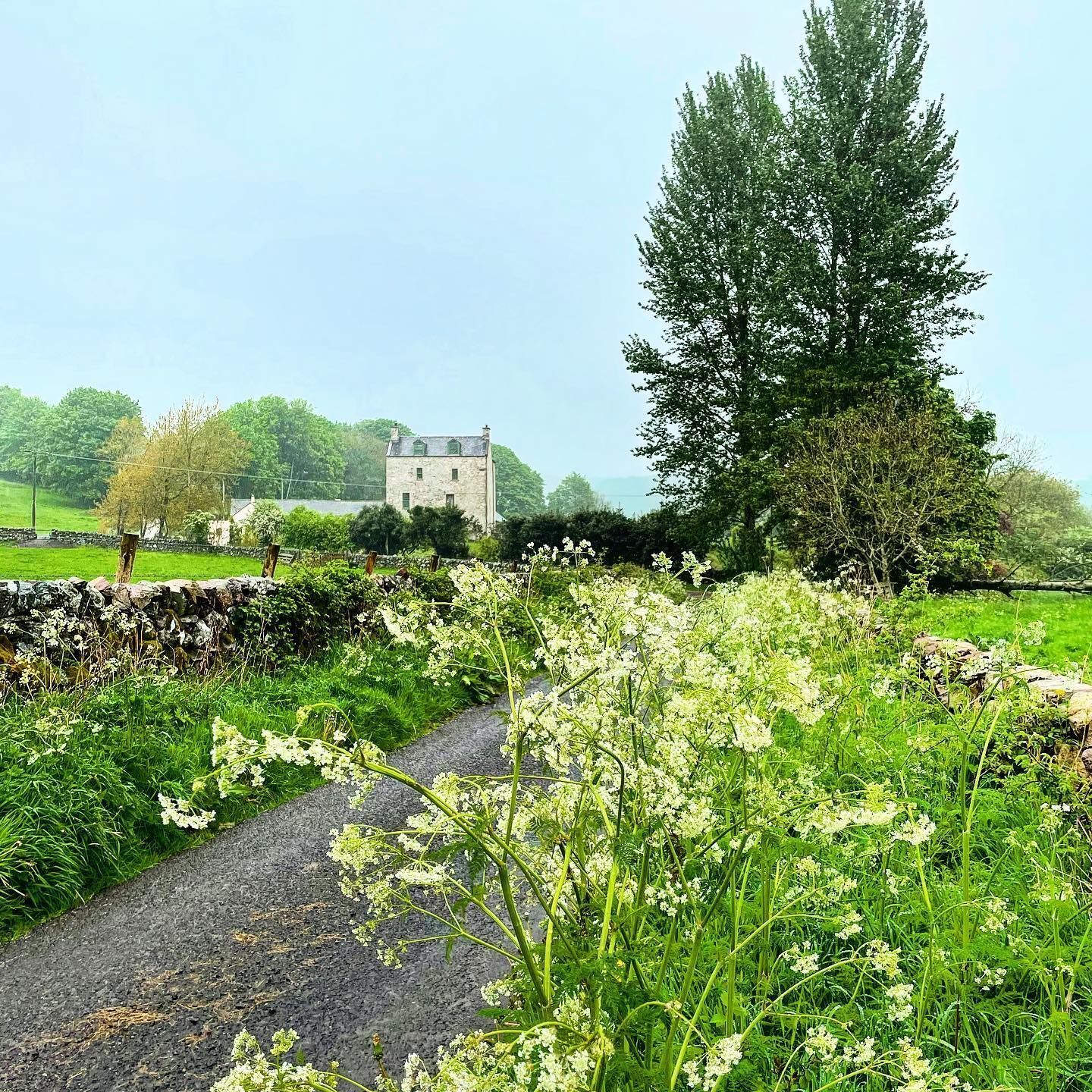 A rural pathway leading to a stone building surrounded by lush greenery and flowering plants.