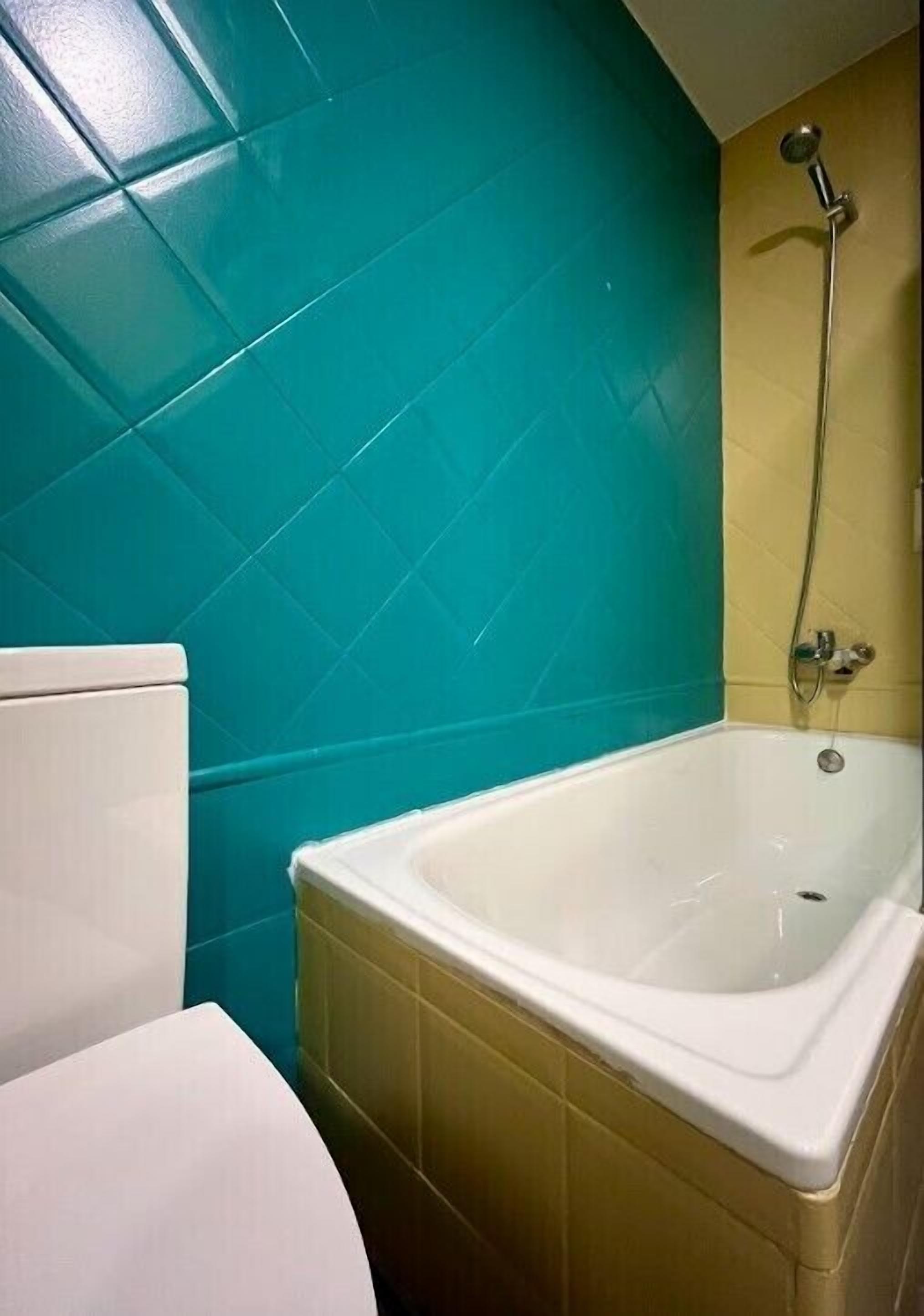 Un baño con una bañera blanca, una ducha y un inodoro.