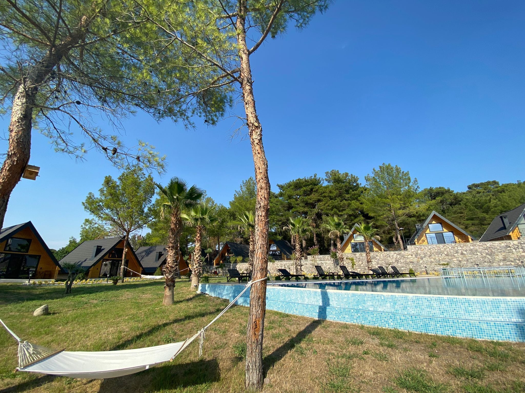 Un área de piscina con una hamaca, palmeras y cabañas al fondo.
