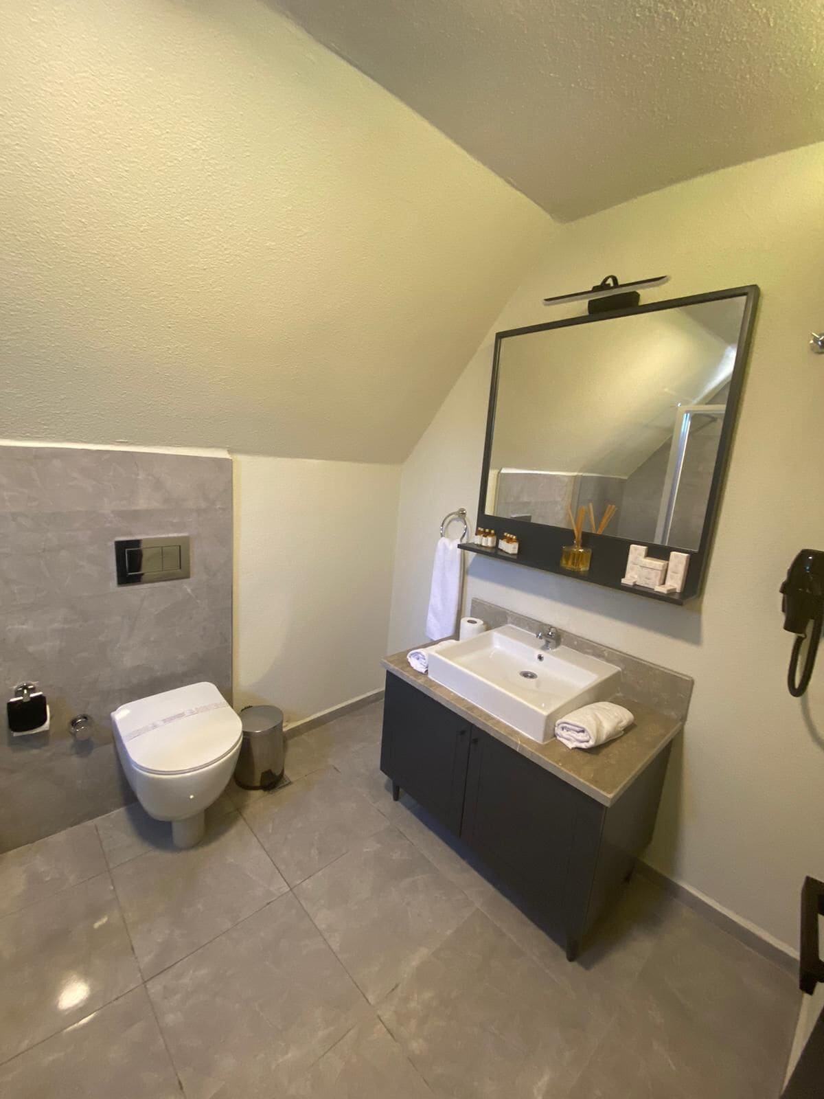 A modern bathroom with a toilet, sink, and mirror.