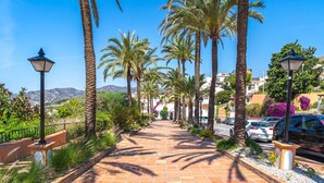 Un camino pavimentado bordeado de palmeras y farolas, que conduce a una zona residencial con coches aparcados y casas.