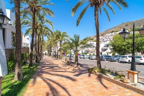 A paved walkway lined with palm trees, a street with parked cars, and buildings in the background.