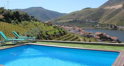 Vacation home with pool in the Douro