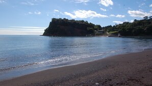 Beach - Old Walls Vineyard Pinot Noir (Teignmouth)