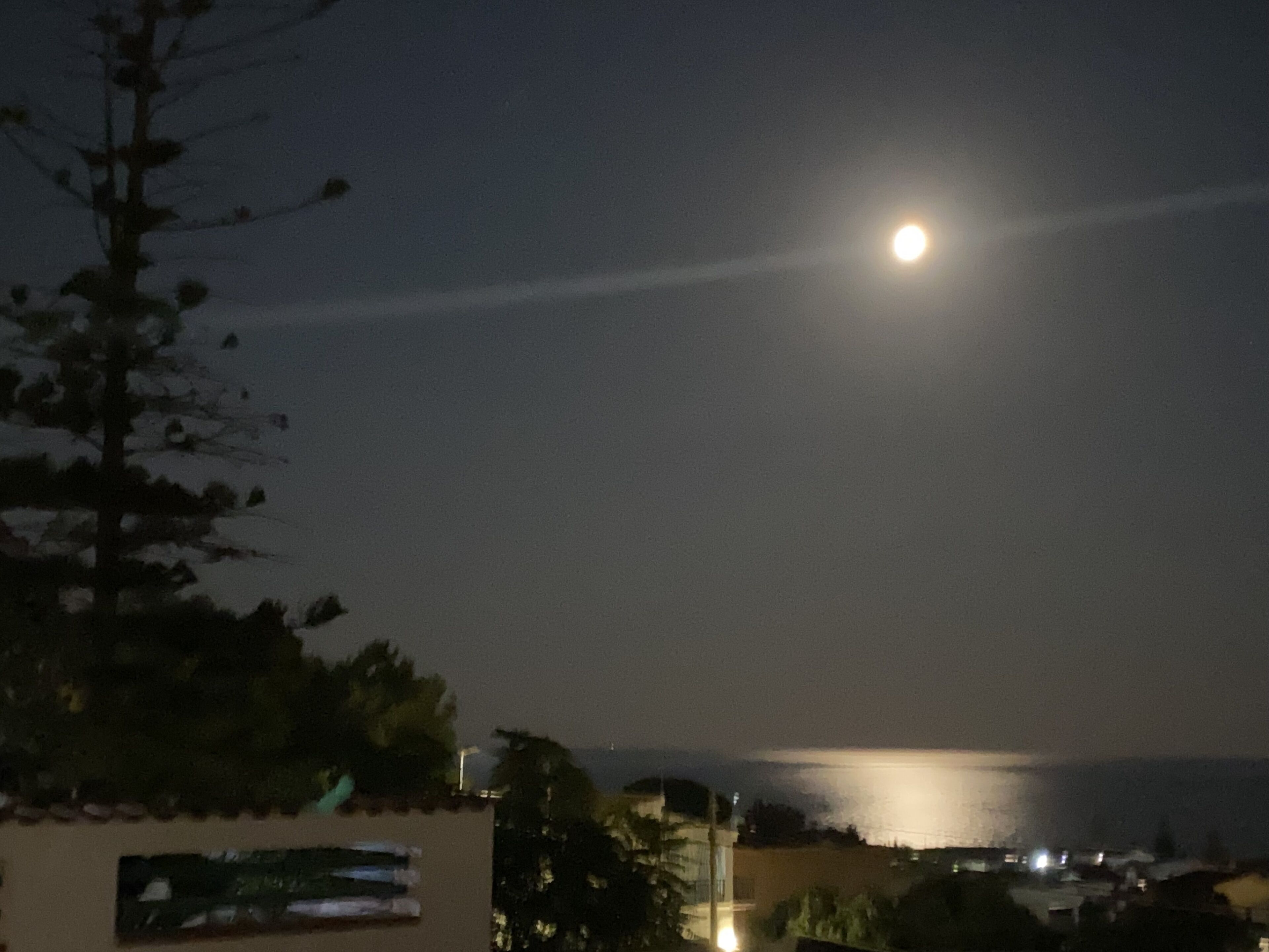 A night scene with a visible moon and a distant view of a body of water.