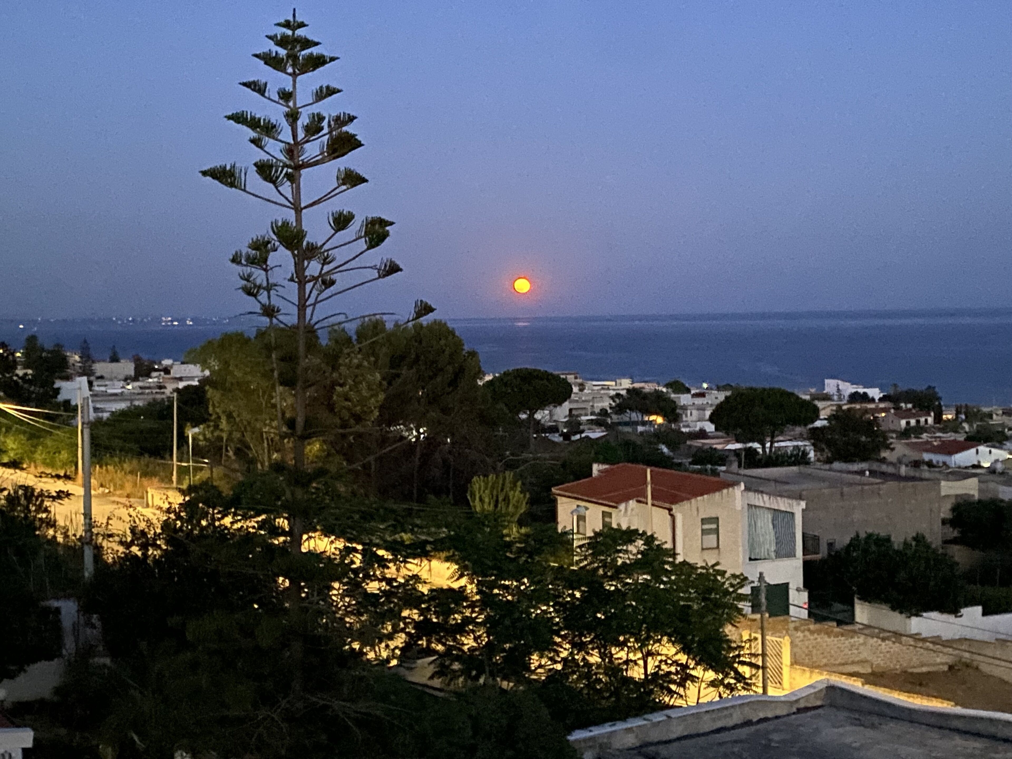Une ville côtière au crépuscule, avec un arbre imposant au premier plan et un bâtiment avec un toit rouge en arrière-plan.