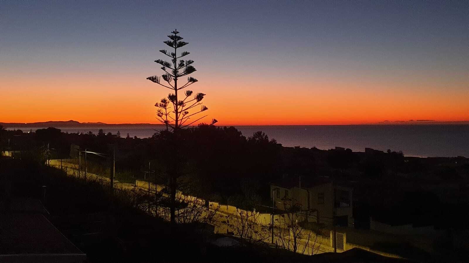 A coastal landscape at sunset with a prominent tree silhouette, residential buildings, and a clear view of the sea.