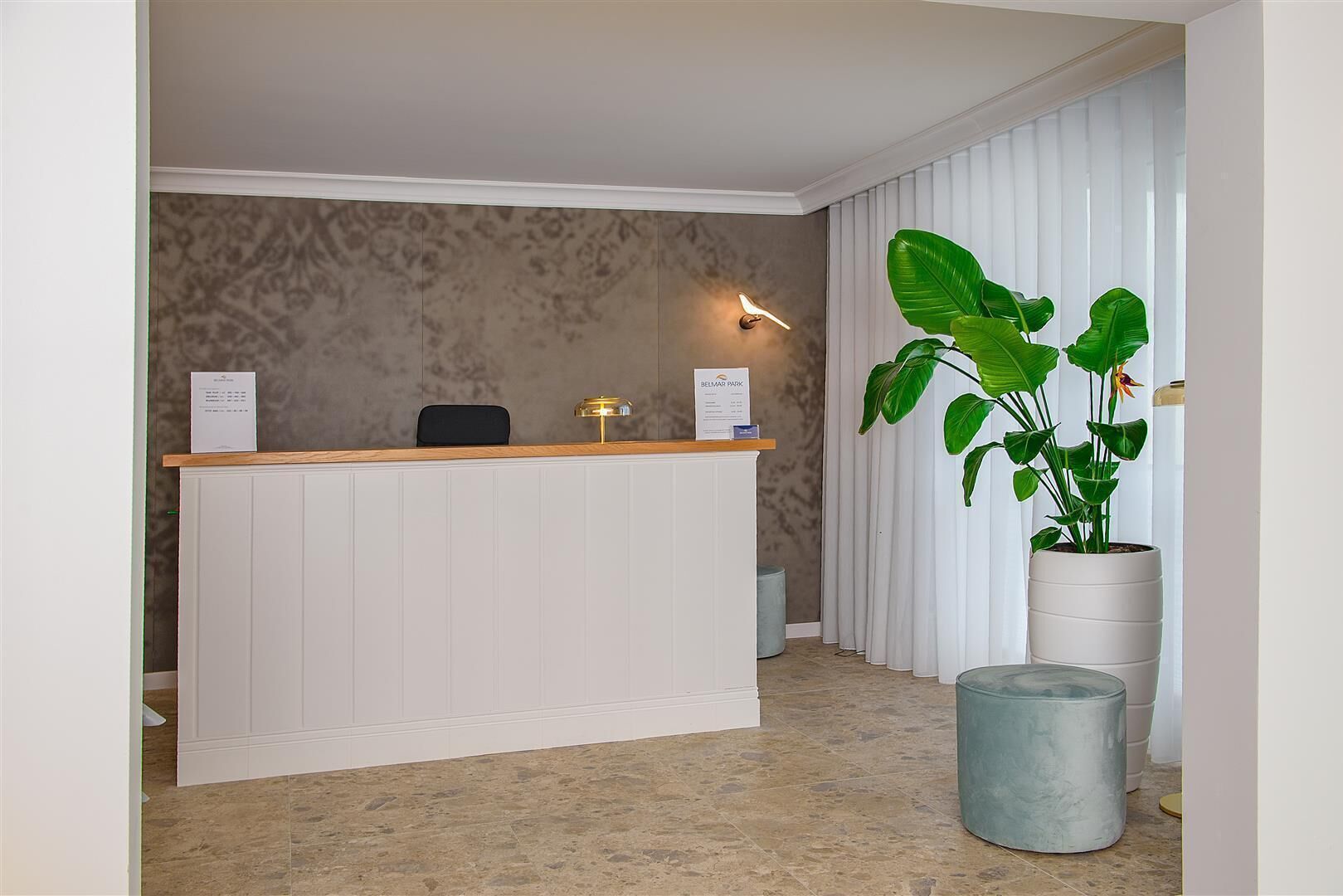 A reception desk with a wooden top and white paneling, a black chair, a gold lamp, and a large potted plant with broad leaves.