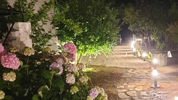 Een pad van stenen loopt naar een wit gebouw in de nacht, omringd door bloeiende planten.