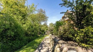 Ein gepflasterter Weg, gesäumt von üppigem Grün und einer Steinmauer.