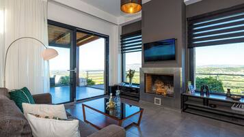 Smart TV, fireplace, books