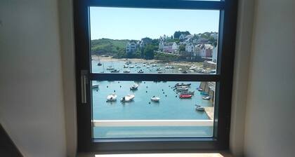 Comfortable Apartment with Panoramic View in Sauzon