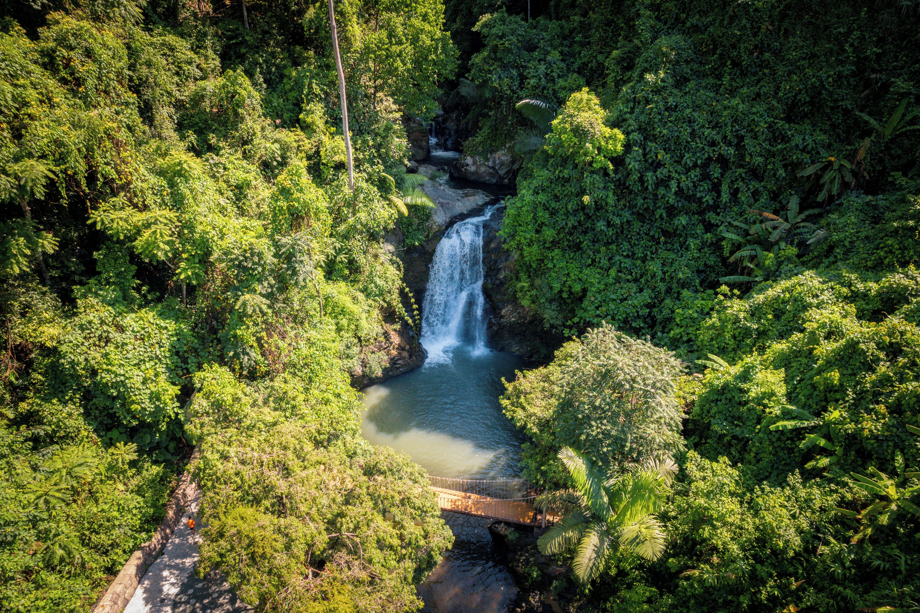 Un paysage verdoyant et luxuriant, avec une cascade et un pont.