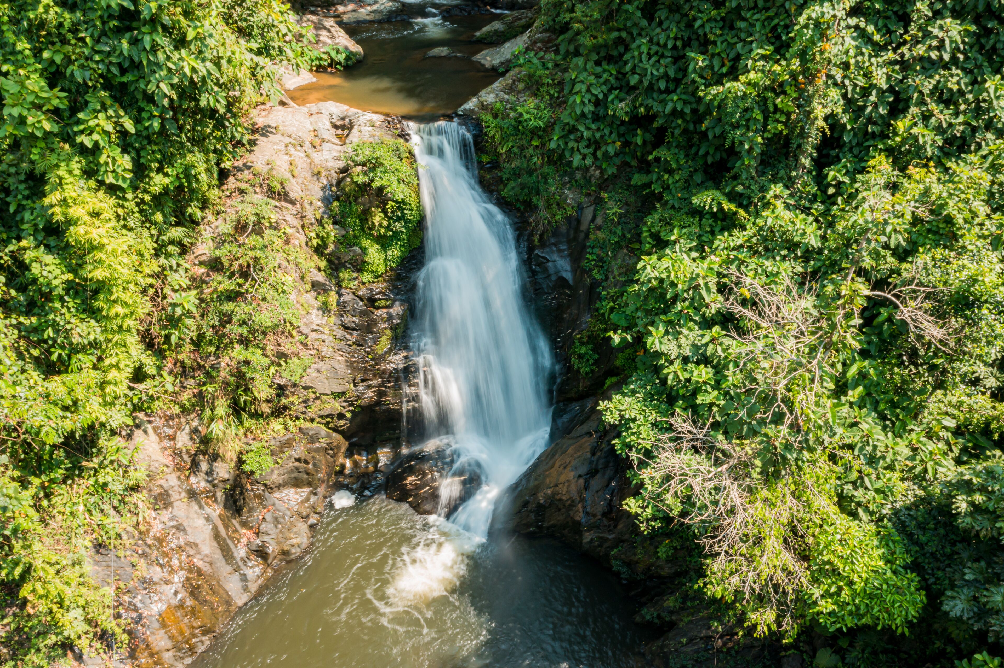 A waterfall surrounded by dense greenery.