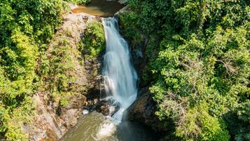 A waterfall surrounded by dense greenery.
