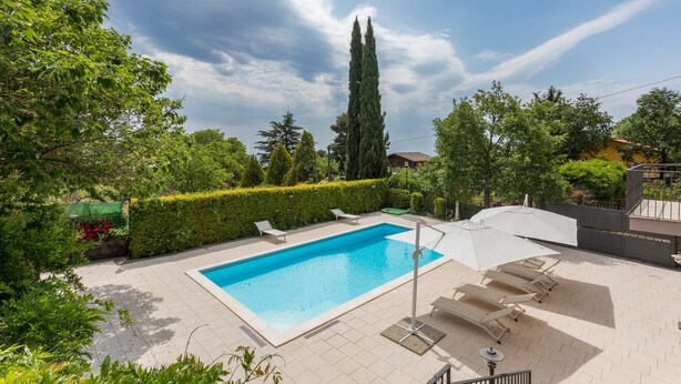 Une piscine rectangulaire, bordée d’une terrasse carrelée, entourée de verdure et d’un grand arbre.