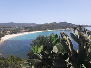A coastal landscape with a beach, cacti, and distant mountains. - Holiday Home 'L'Acquario' with Mountain View, Terrace & A/C (Villasimius)