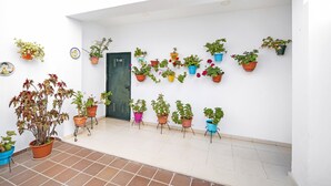 A white wall with multiple potted plants arranged in a row. - Pet-Friendly Piso Arquillo del Reloj Apartment with Wi-Fi (Chiclana de la frontera)