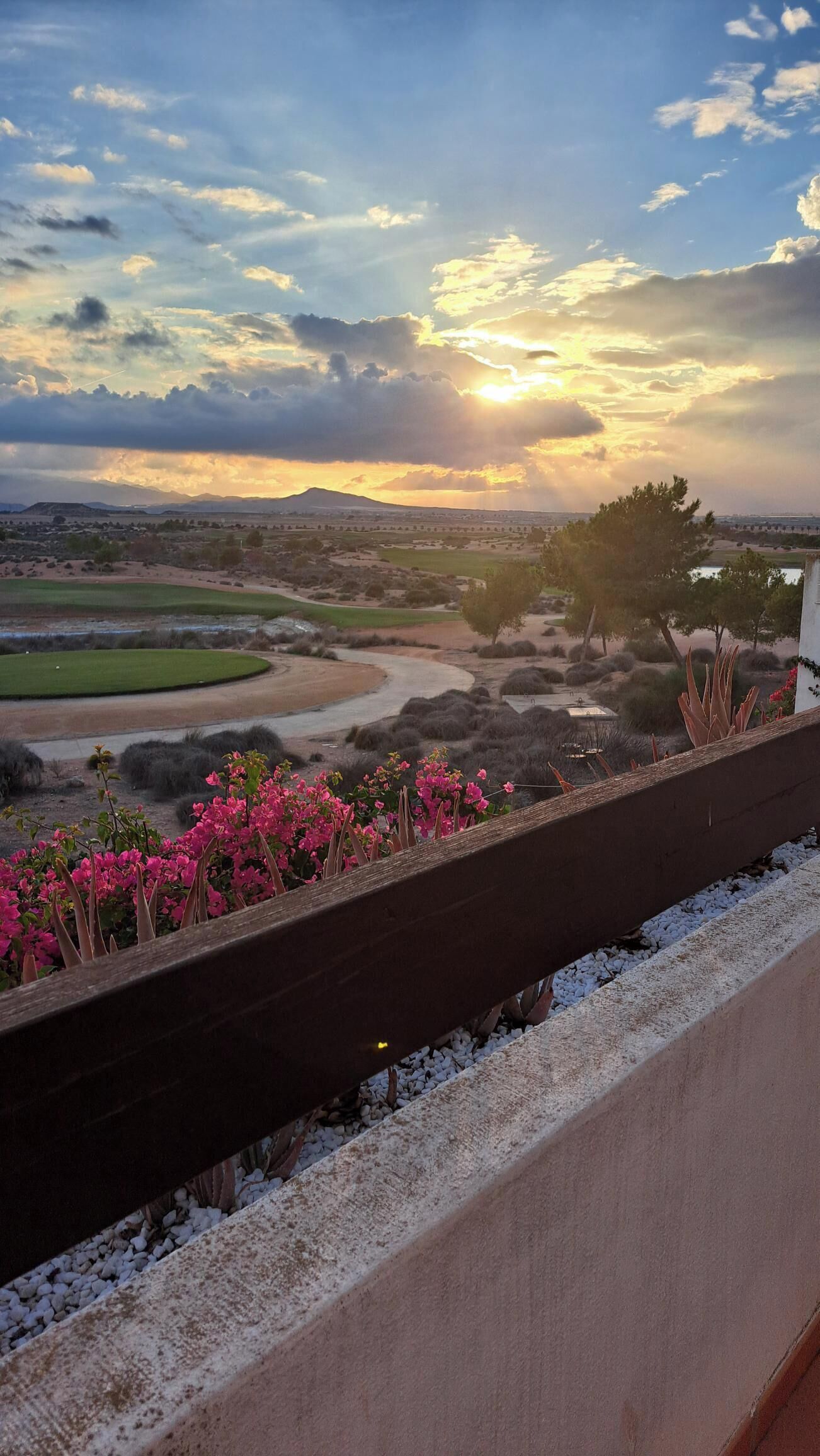 Parco della struttura