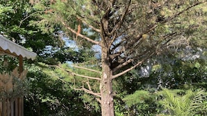 Ein Baum mit einer hölzernen Struktur links und einem Blumentopf rechts.
