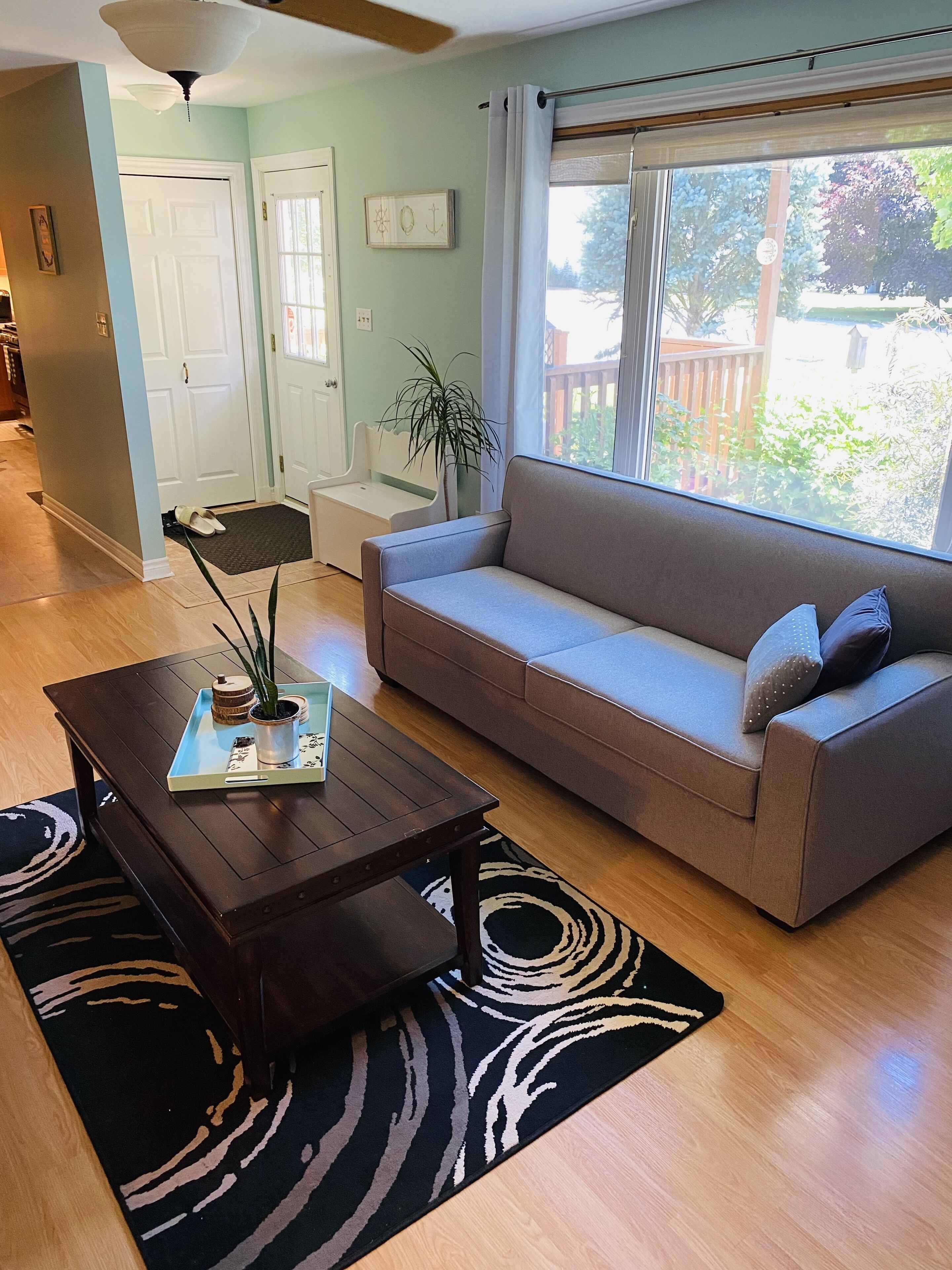 Smart TV, fireplace, books, computer monitors