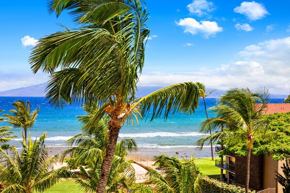 Playa en los alrededores 