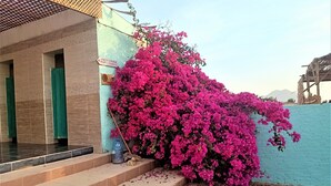 Exterior - Sahara Beach Camp Ras Shetan (Nuweiba)