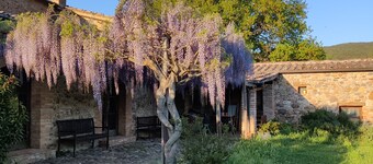 Agriturismo il Casalino, with swimming pool between Siena and Grosseto