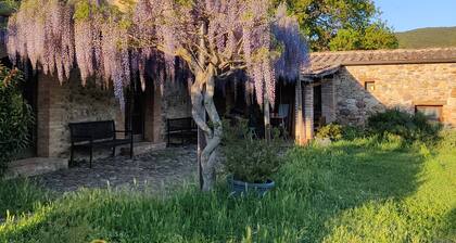 Urlaub auf dem Bauernhof