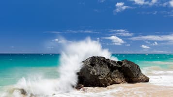 Playa en los alrededores