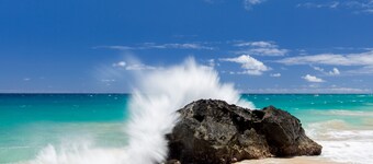 Banyan Harbor #F71, Walk to Beach, Wifi, AC, Pool, Parking, Laundry