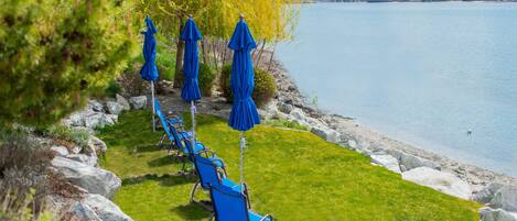 A lakeside setting with a row of blue lounge chairs and umbrellas, a grassy area, and a rocky shoreline.