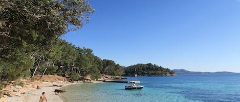 Strand