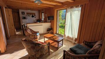 TV, DVD player, books, video library