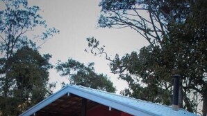 A small, red building with a sloped roof, a porch with chairs, and a window. - Chalés Vista Linda (Santo Antonio do Pinhal)