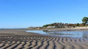 Ein Strand mit Sandwirbeln, einem ruhigen Gewässer und einer Baum- und Gebäudelinie im Hintergrund.