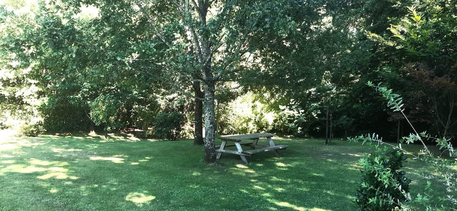 Ein Picknicktisch in einer grünen Parklandschaft mit Bäumen im Hintergrund.