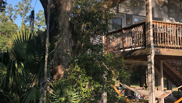 Una terraza de madera con barandilla, rodeada de abundante follaje y un gran árbol.